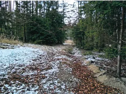 Prodej lesa, Červená Řečice, 158 m2