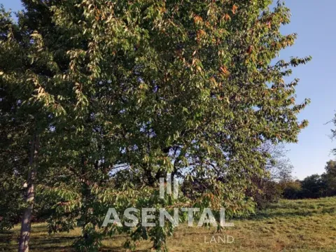 Prodej pozemku, Doubrava, 3945 m2