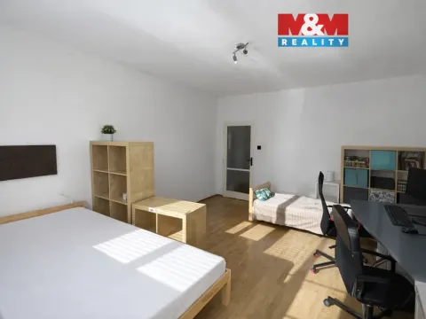 Prodej bytu 2+1, Praha - Nusle, Boleslavova, 53 m2