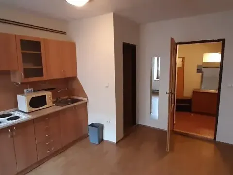 Pronájem bytu 1+kk, Prostějov, Hradební, 35 m2
