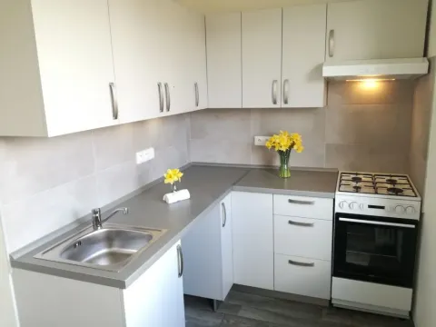 Pronájem bytu 1+1, Ostrava - Výškovice, Lužická, 39 m2