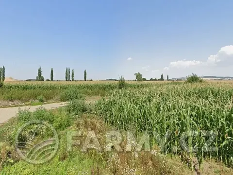 Prodej podílu pole, Pravčice, 27890 m2
