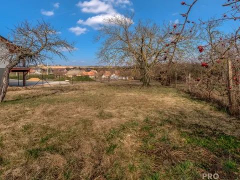 Prodej pozemku pro bydlení, Skalice, 1000 m2