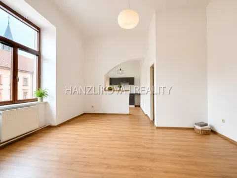 Pronájem bytu 1+1, České Budějovice - České Budějovice 6, Žižkova tř., 47 m2