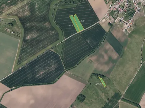 Prodej pole, Pacetluky, 15640 m2