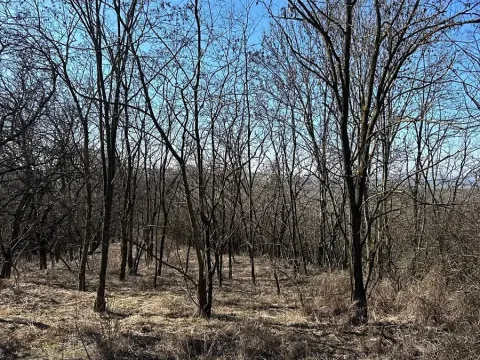 Prodej zahrady, Hustopeče, 4050 m2