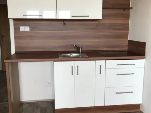 Pronájem bytu 1+kk, Ostrava, Gen. Píky, 28 m2