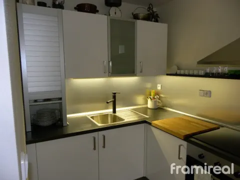 Pronájem bytu 1+kk, Brno, U Leskavy, 39 m2