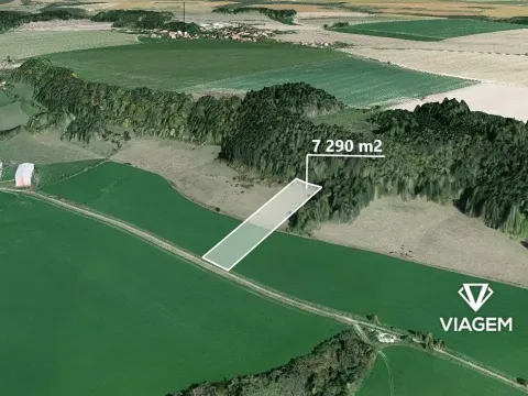 Prodej podílu pole, Střemošice, 1822 m2