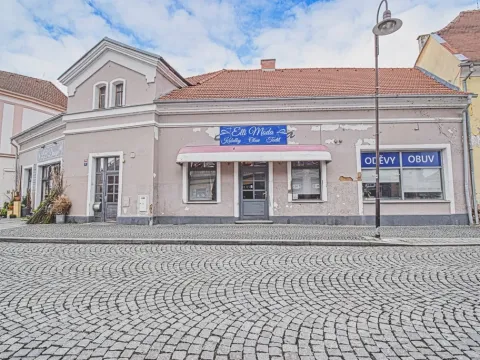 Pronájem obchodního prostoru, Dobřany, Lidická, 120 m2