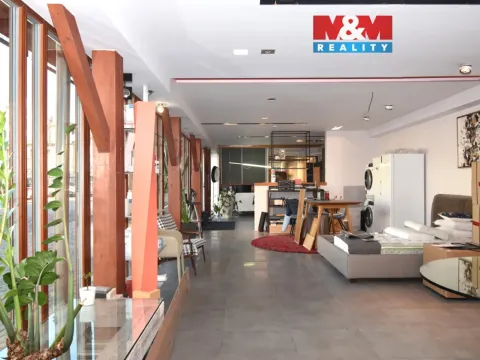 Pronájem kanceláře, Ostrava, Brandlova, 234 m2