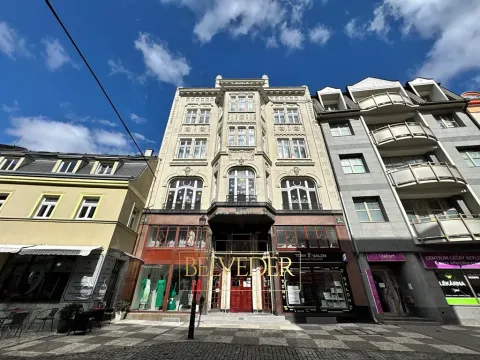 Pronájem bytu 4+kk, Teplice, Krupská, 110 m2