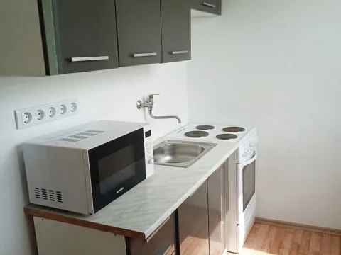 Pronájem bytu 1+1, Most, Růžová, 27 m2