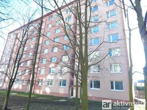 Prodej bytu 1+kk, Chomutov, Kostnická, 19 m2