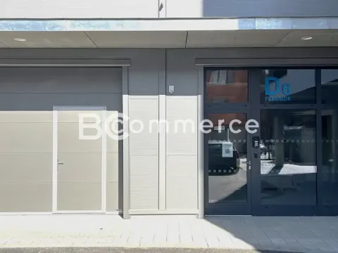 Pronájem skladu, Brno, Svatopetrská, 203 m2