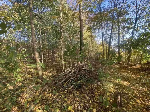 Dražba pozemku pro bydlení, Zdislava, 1043 m2