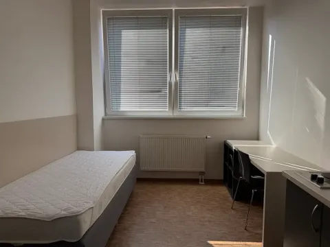 Pronájem bytu 1+kk, Praha - Smíchov, Křížová, 20 m2