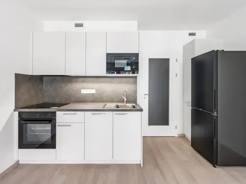 Pronájem bytu 1+kk, Praha - Vysočany, Gerstelova, 35 m2