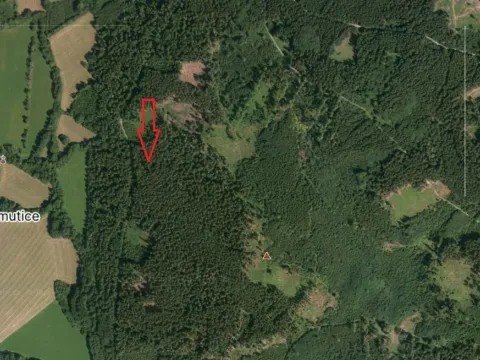 Prodej lesa, Petrovice u Sušice - Trsice, 18883 m2