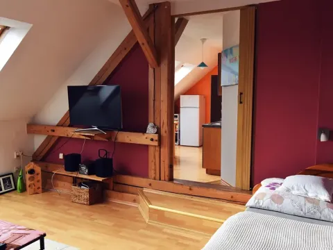 Pronájem bytu 1+1, Hradec Králové, Horova, 47 m2