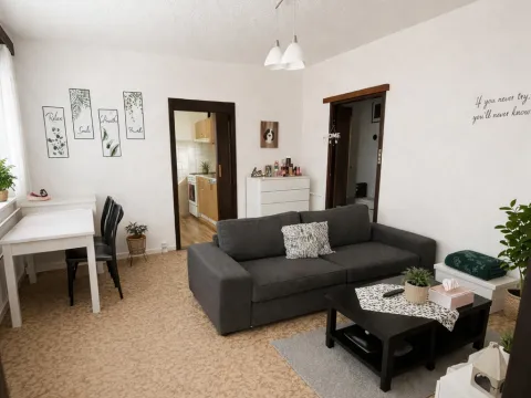 Prodej bytu 2+1, Ostrava, Vlasty Vlasákové, 43 m2