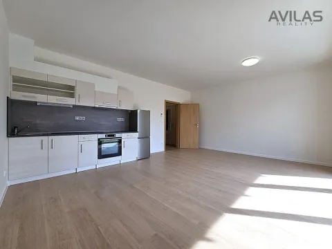 Pronájem bytu 1+kk, Benešov, 102. pluku, 38 m2