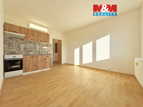 Pronájem bytu 1+kk, Horní Slavkov, Dlouhá, 20 m2