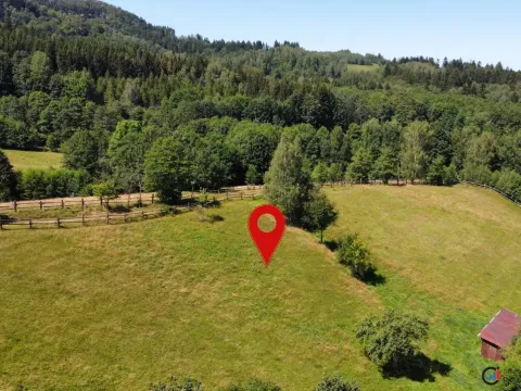 Prodej pozemku pro bydlení, Olešnice v Orlických horách, 4823 m2