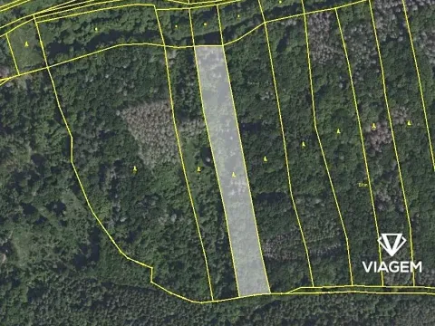 Prodej podílu lesa, Drahelčice, 3372 m2