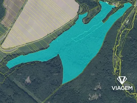 Prodej podílu lesa, Hrabyně, 20046 m2