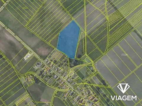 Prodej podílu pole, Horka I, 8080 m2