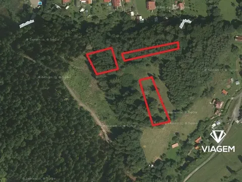 Prodej lesa, Mikulůvka, 3813 m2