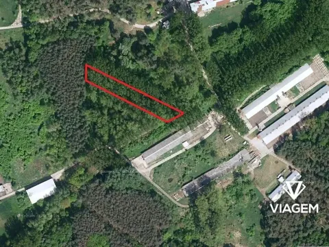 Prodej pole, Vracov, 1438 m2