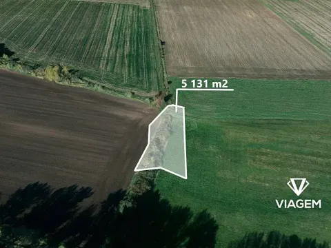 Prodej podílu pole, Boharyně, 1282 m2