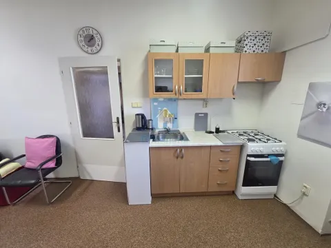 Pronájem bytu 2+kk, Plzeň, Koterovská, 70 m2