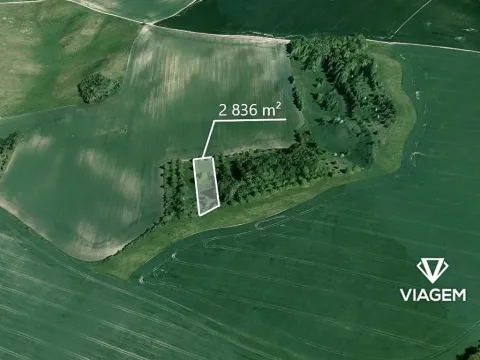 Prodej zahrady, Bošovice, 2836 m2