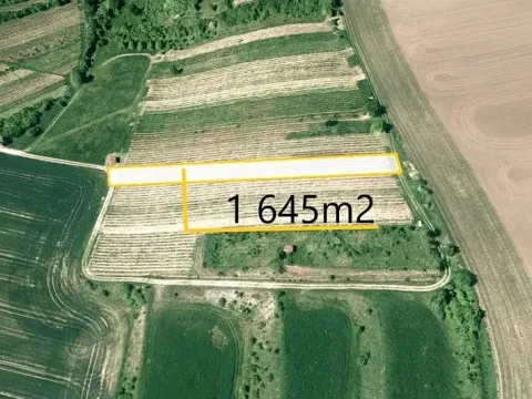 Prodej podílu pole, Uherčice, 182 m2