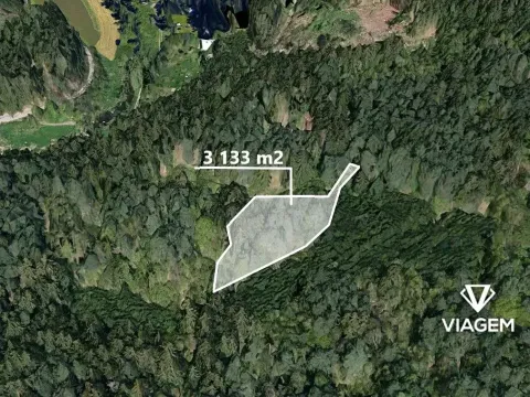 Prodej podílu lesa, Petráveč, 609 m2