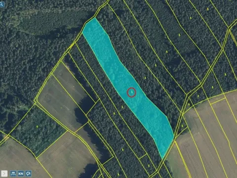 Prodej lesa, Zábřezí-Řečice, 18846 m2