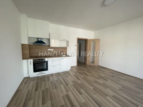 Pronájem bytu 1+kk, České Budějovice, 33 m2