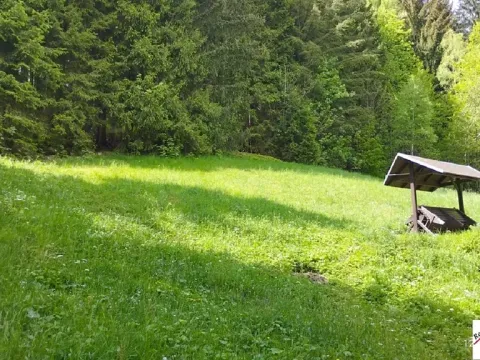 Prodej pozemku pro bydlení, Tanvald, 7310 m2