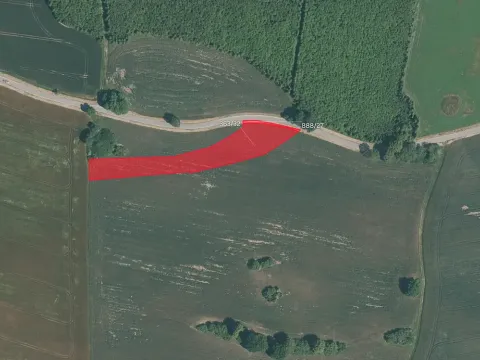 Prodej pole, Cerhonice, 3883 m2