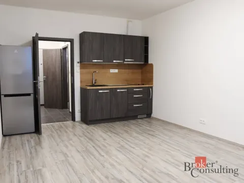 Pronájem bytu 1+kk, Plzeň - Jižní Předměstí, Nemocniční, 30 m2