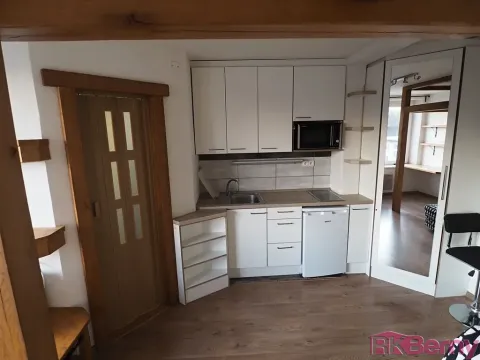 Pronájem bytu 1+kk, Brno, Úvoz, 22 m2