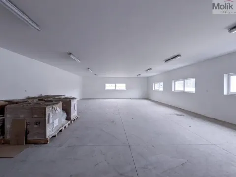 Pronájem skladu, Teplice, Pražská, 200 m2