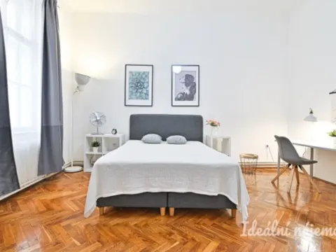 Pronájem bytu 2+1, Brno - Brno-město, Veselá, 53 m2