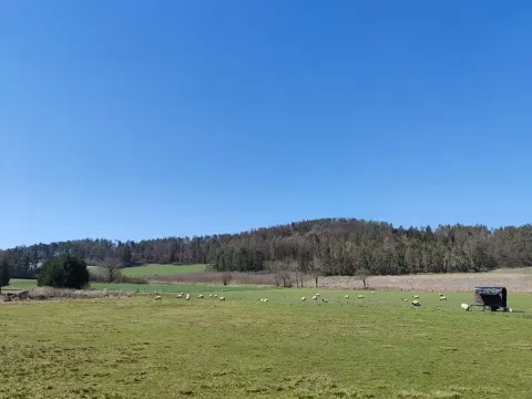 Prodej pozemku pro bydlení, Horažďovice, 2250 m2