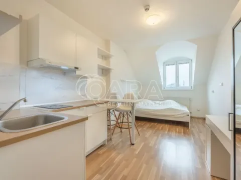 Prodej bytu 1+kk, Praha - Smíchov, Radlická, 25 m2