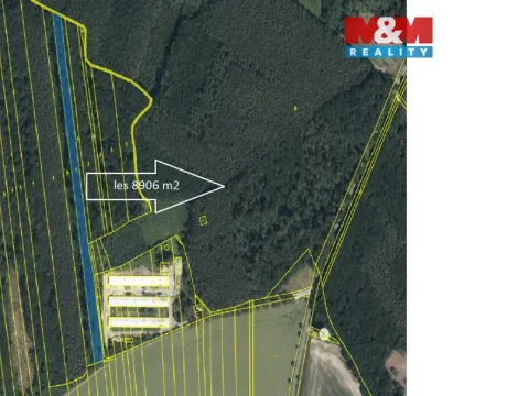 Prodej lesa, Městec Králové, 8906 m2