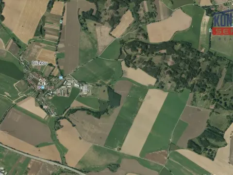 Prodej lesa, Blízkov, 31695 m2